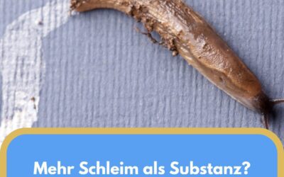 Arschkriecher, das unangenehme Rückgrat der Erfolglosen