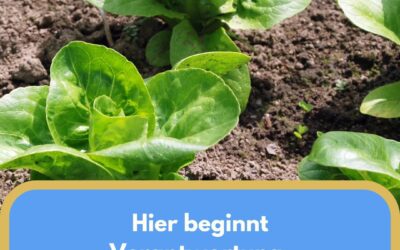 Essen ist Haltung und kein Lückenfüller