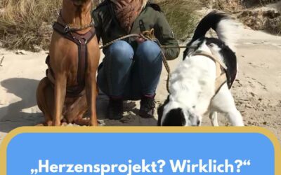 „Herzensprojekt? Wirklich?“