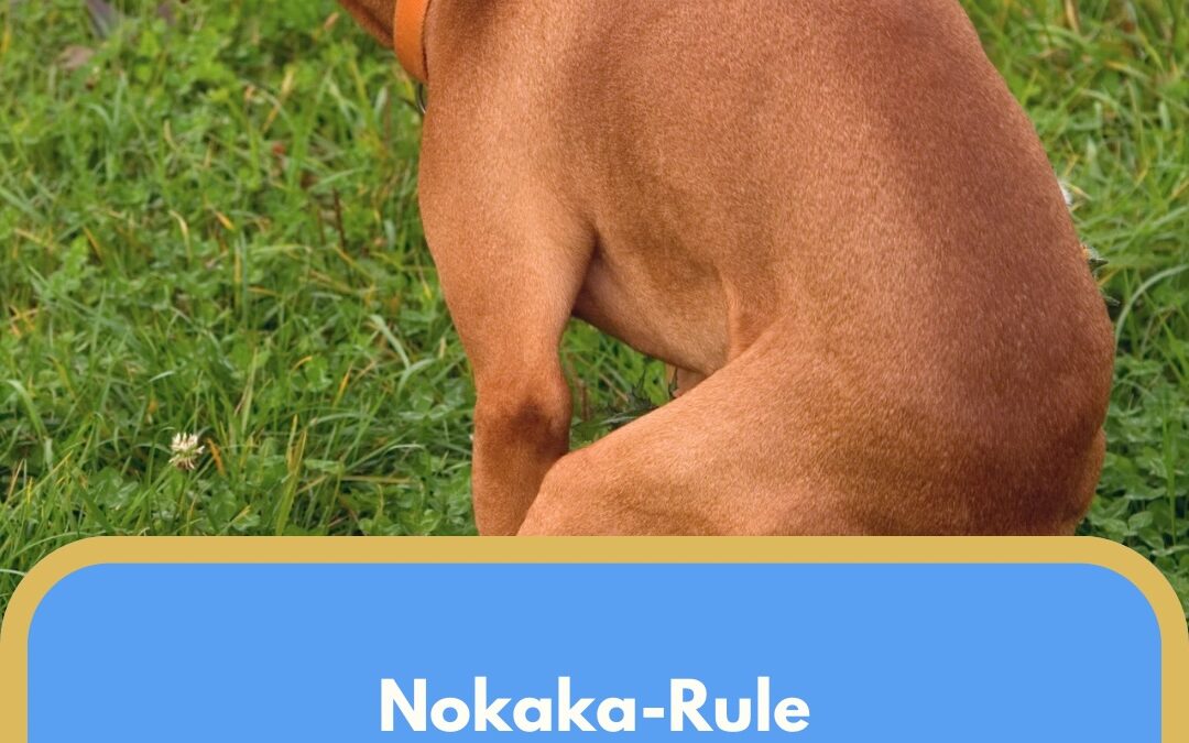 No-Kaka-Rule